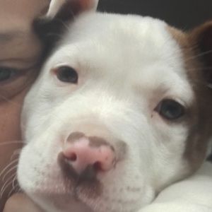 Meet your Posher, Madi